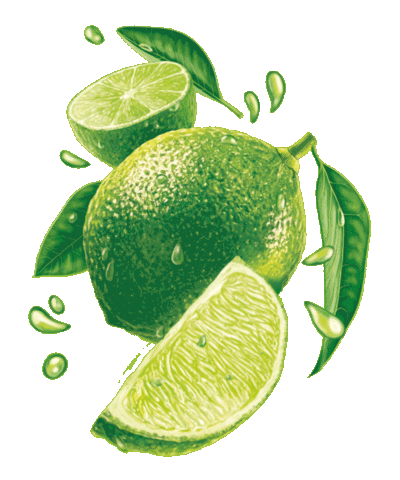 Lime Pluss Sticker by OMBU