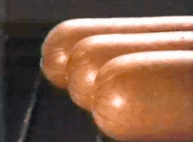 dawg GIF dawg GIF