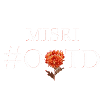 Sticker by Stado Fashion