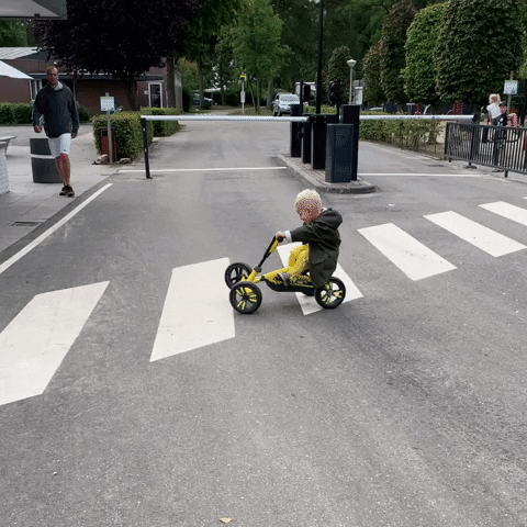 Recreatiepark De Achterste Hoef GIF