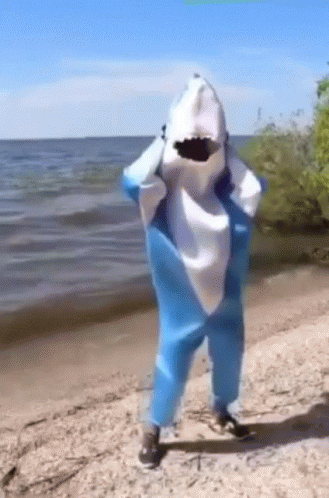 Baby Shark GIF by memecandy - Find & Share on GIPHY