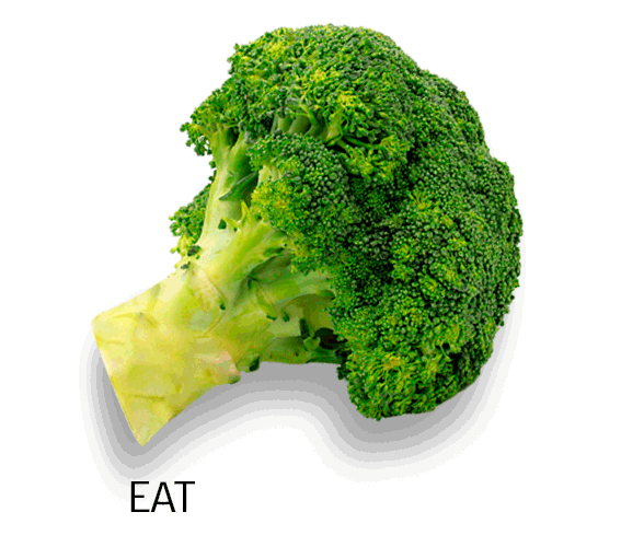 Organic Vegetables GIFs Get the best GIF on GIPHY