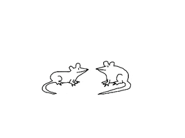 Nyc Rats GIF by LizaDonnelly