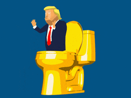 Trump Election GIF