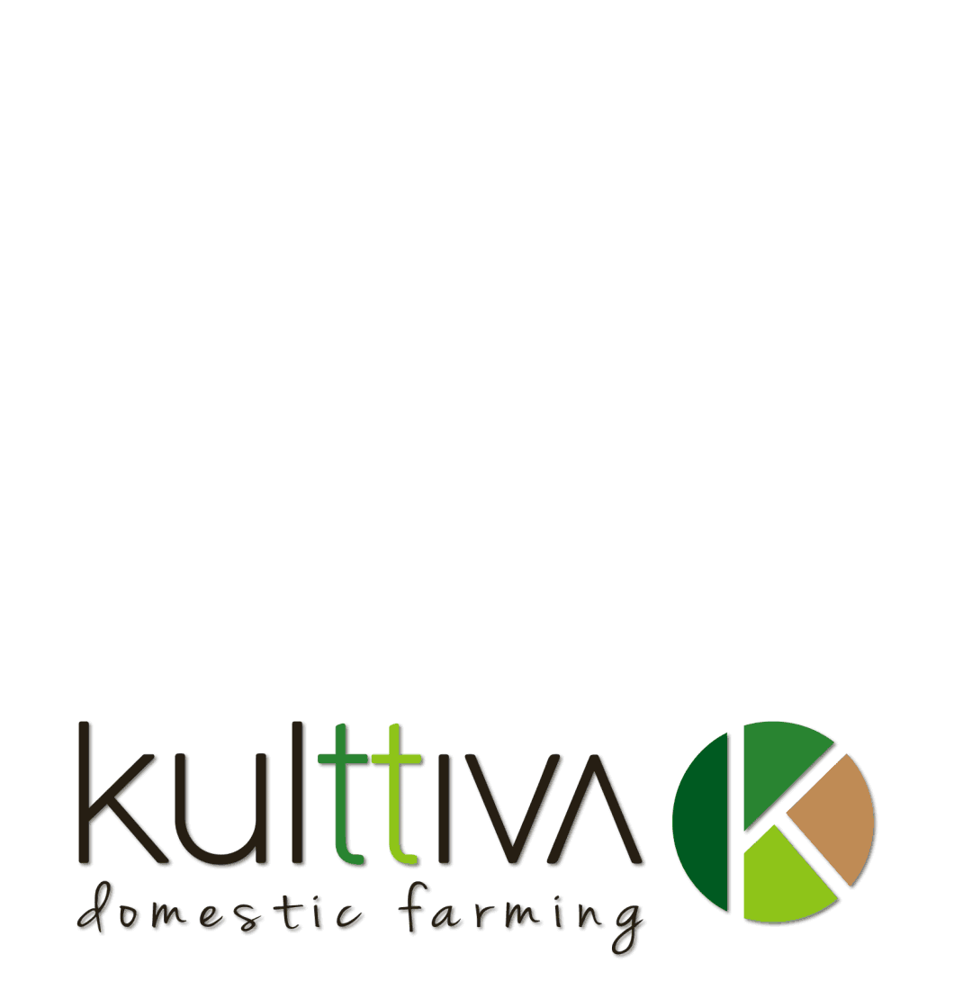 Fruit Planta Sticker by Kulttiva