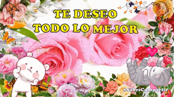 Compartir Nuevo Dia GIF