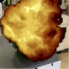 Cat GIF