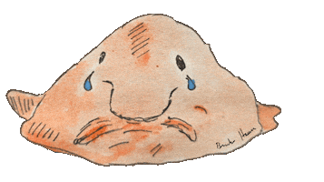 Blobfish Sticker