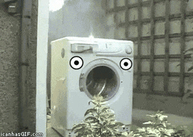 harlem shake washing machine GIF