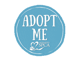 Adoptme Sticker by Sacramento SPCA