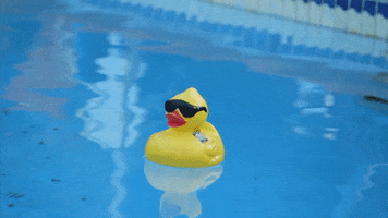 rubber duck hml408 GIF by truTV’s Hack My Life
