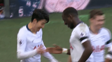 Come On You Spurs Son Heung Min GIF by Tottenham Hotspur
