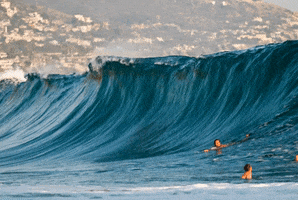Laguna Beach Big Wave GIF by Justin