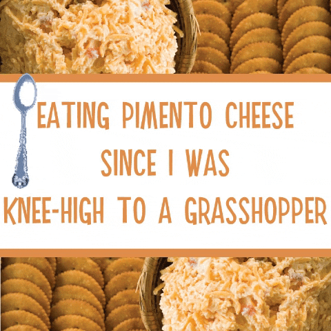 pimentocheese cheese snack snacks south carolina GIF