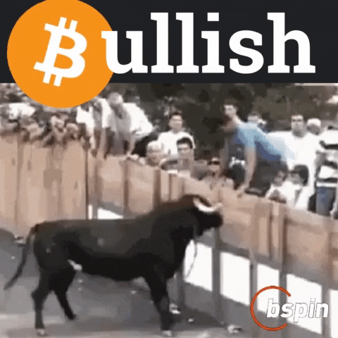 Crypto Bitcoin GIF by Bspin