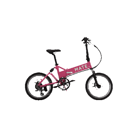 MATE. BIKE JP Sticker