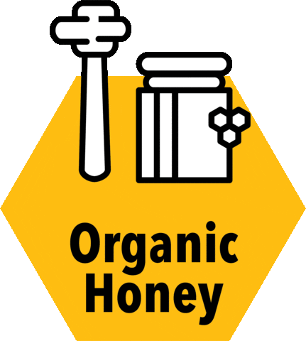 Fizzy Beez Sticker