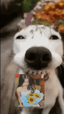 Ohhyogesh GIF