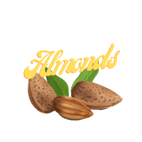 Nutty Foodz Sticker