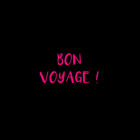 sydneyluggage GIF