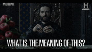 what do you mean king philip GIF by HISTORY UK