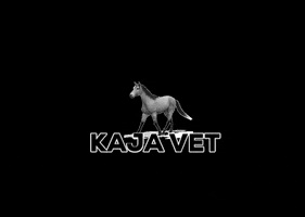 Horse GIF by Kaja Vet