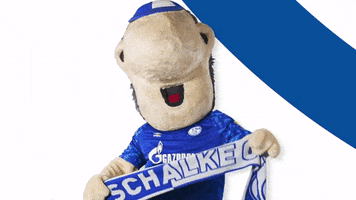 Happy Come On GIF by FC Schalke 04