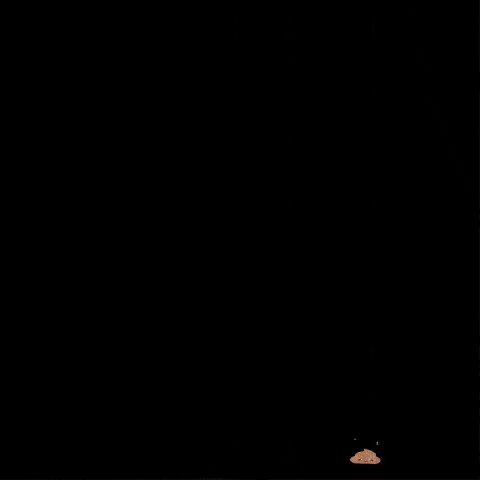 Kostek GIF