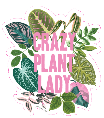 Spring Lady Sticker by Paper Source