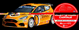 Rally di Roma Capitale GIF