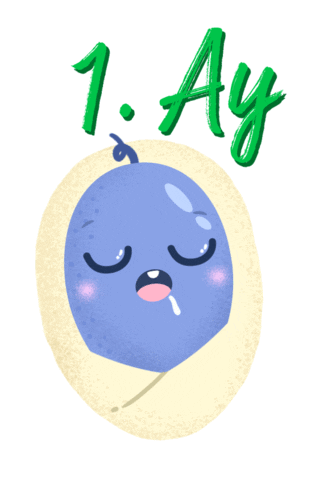 Demir Sağlık ve Hayat Sigorta Sticker