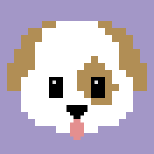 GIF by Cascabel accesorios para mascotas