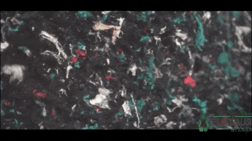 Tekstil Imha GIF