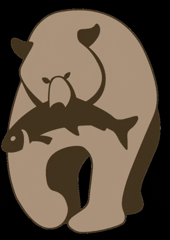 BozcaBear GIF