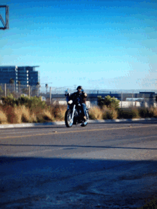 Motorcycle Harley GIF