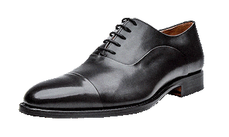 Shoes Oxford Sticker by Shoepassion