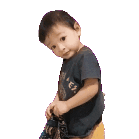 Danesh Sticker by HYPDSH !