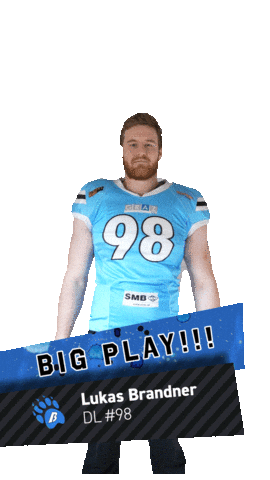 Sticker by Styrian Bears