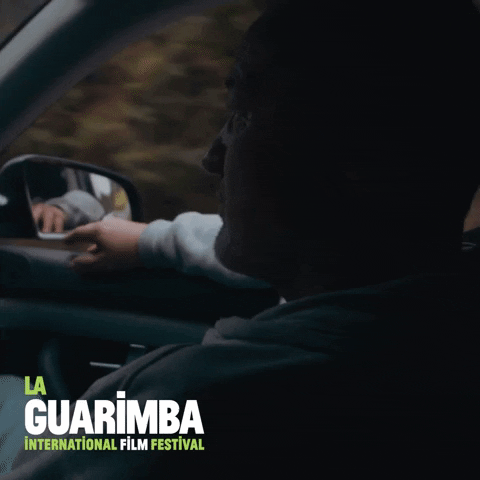 Driving Bored To Death GIF by La Guarimba Film Festival