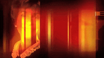 rbycw judge judy GIF