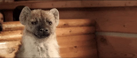 Hyena GIF