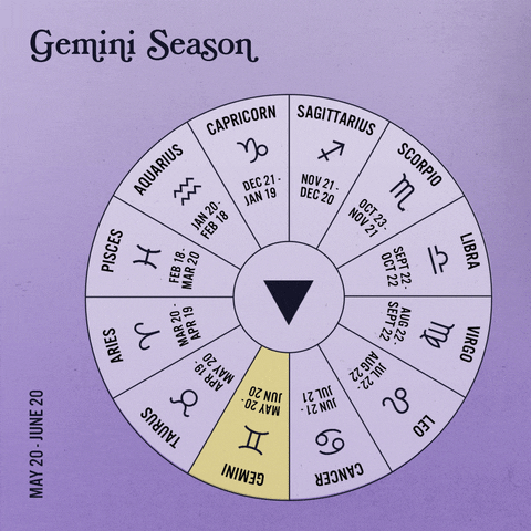Gemini Season GIF by Sanctuary