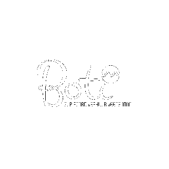 Boti Veenendaal Sticker by De Fuut