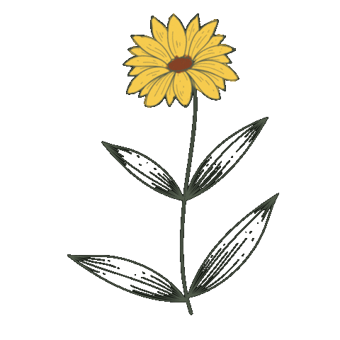 Flower Daisy Sticker