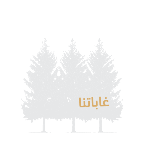 RashofSA Sticker