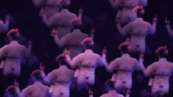 Finger Fuck You GIF by Spiegelworld