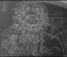 hum lion street art venice hum GIF