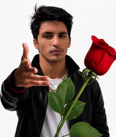 Rose Amaan GIF