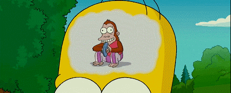 The Simpsons Monkey GIF - Find & Share on GIPHY