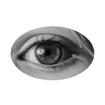 Eyes Sticker